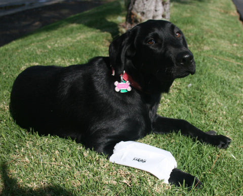 Nooby’s Veterinary Sleeves