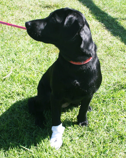 Nooby's Multi Use/Disposable Veterinary Booties
